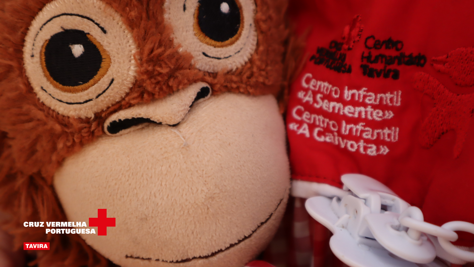 Centro Infantil «A Gaivota»