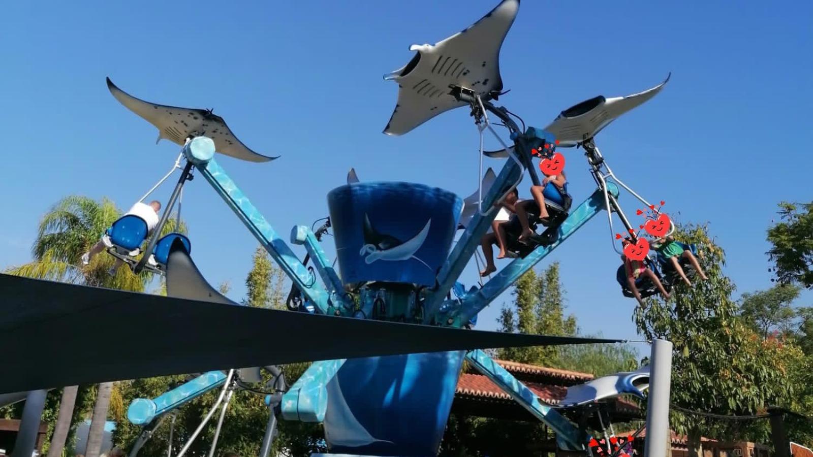 Celebration of World Smile Day - Visit to Zoomarine CA | CAIC 