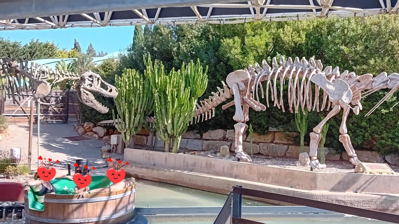 Celebration of World Smile Day - Visit to Zoomarine CA | CAIC 