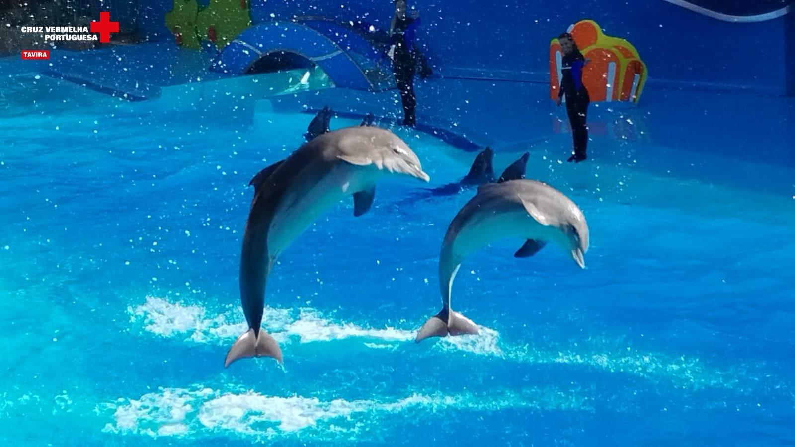 Celebration of World Smile Day - Visit to Zoomarine CA | CAIC 