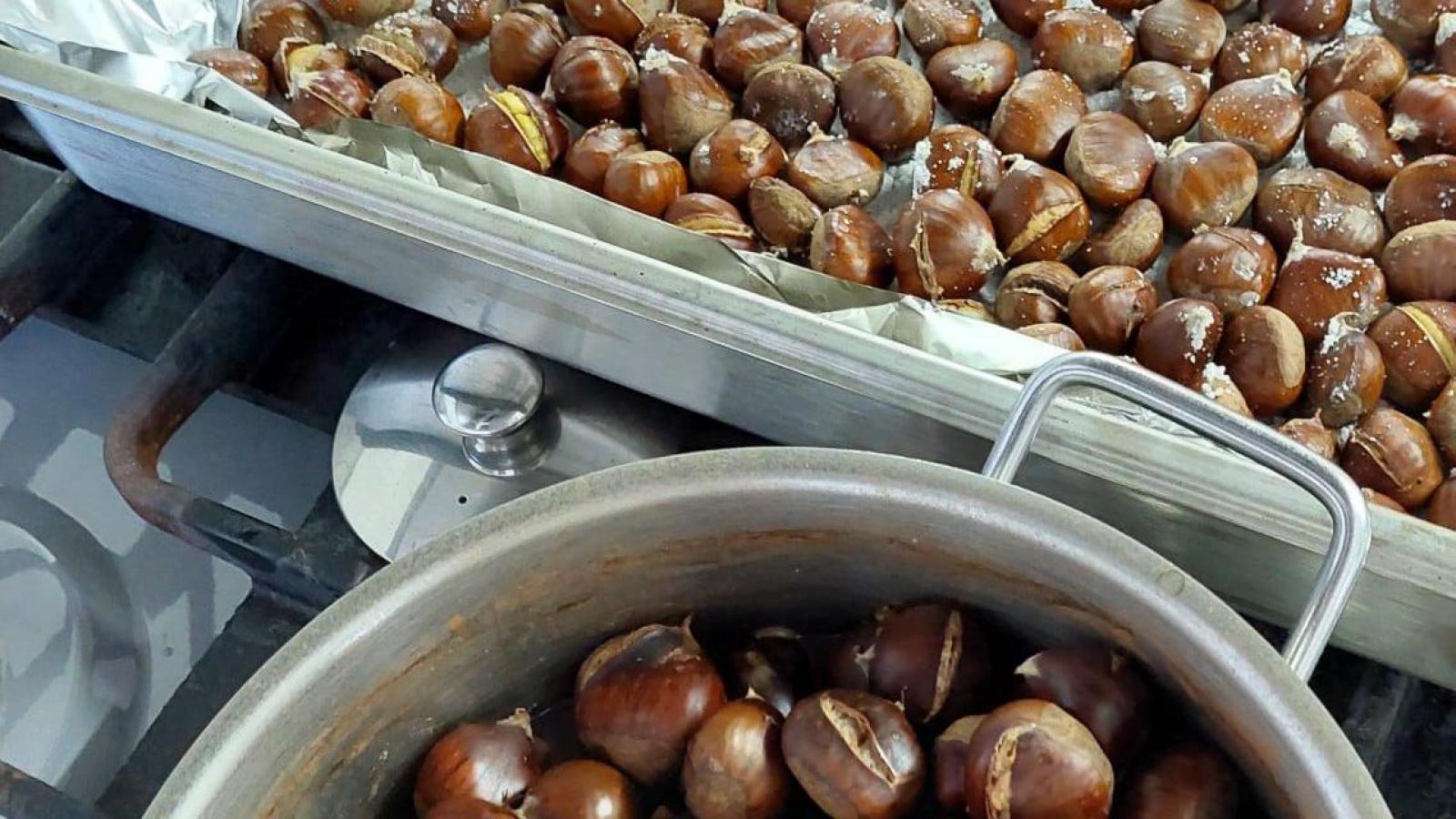 S. Martinho at the Medium Duration and Rehabilitation Unit