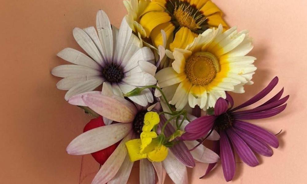 En el Hogar de Acogida CAIC “A Gaivota”, dimos la bienvenida a la primavera