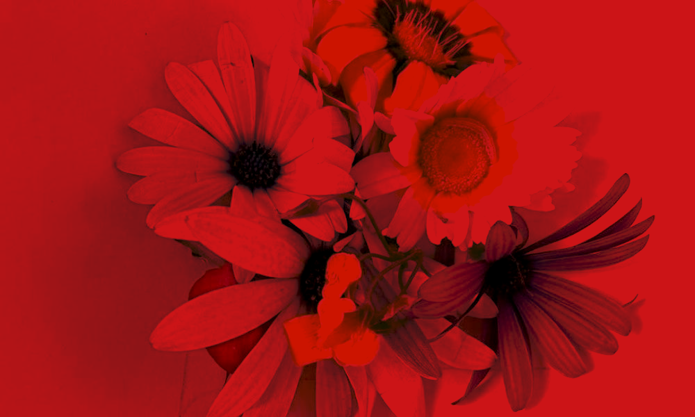 At the CAIC “A Gaivota” Shelter Home, we welcomed Spring