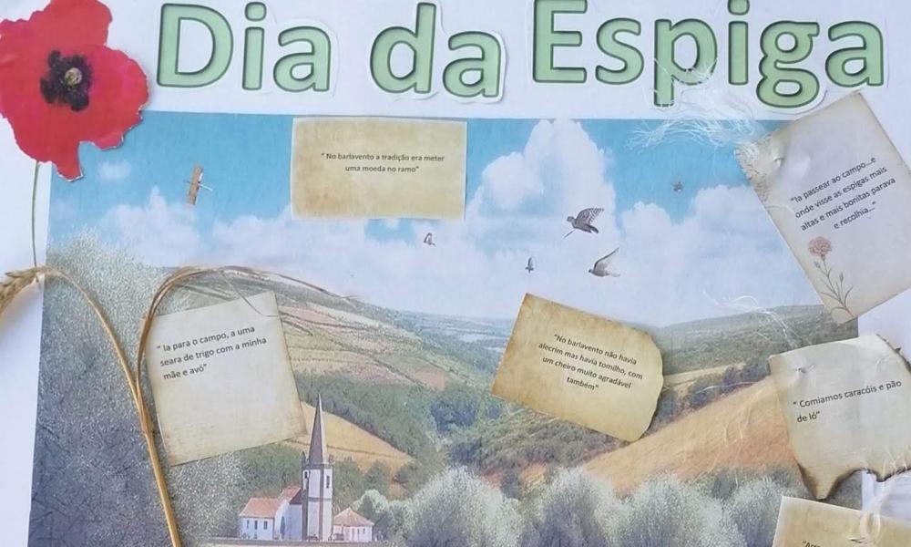 Celebrámos o Dia da Espiga na UMDR
