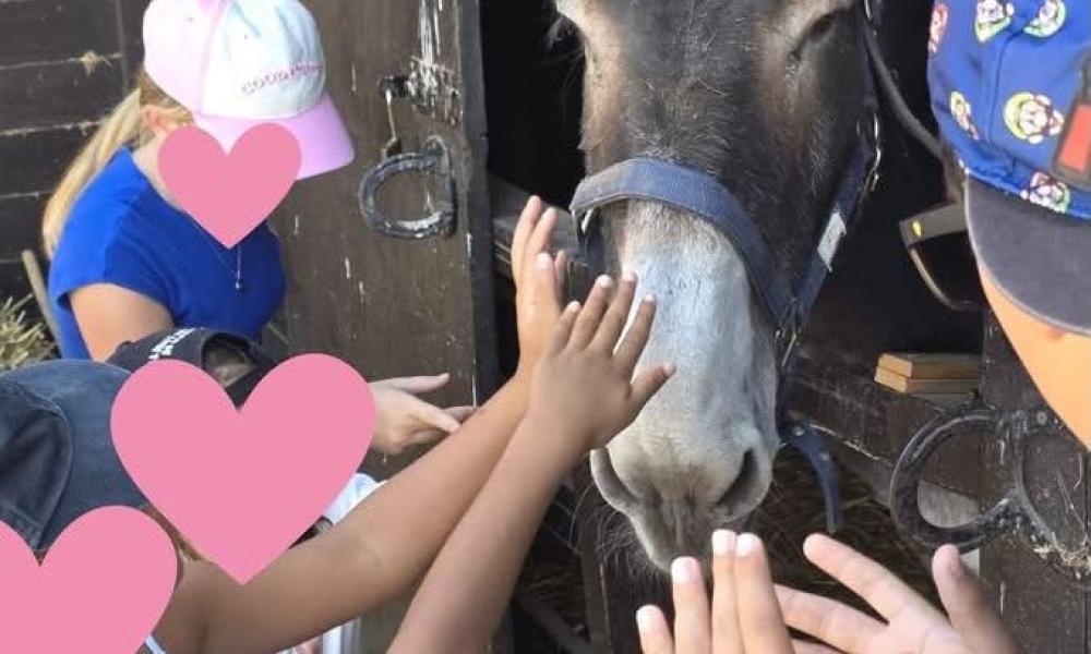 Niños y jóvenes del hogar de acogida visitan la Granja Educativa de Silves